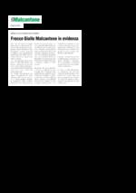 Icona link per Il_Malcantone_-_Giugno_2025.pdf